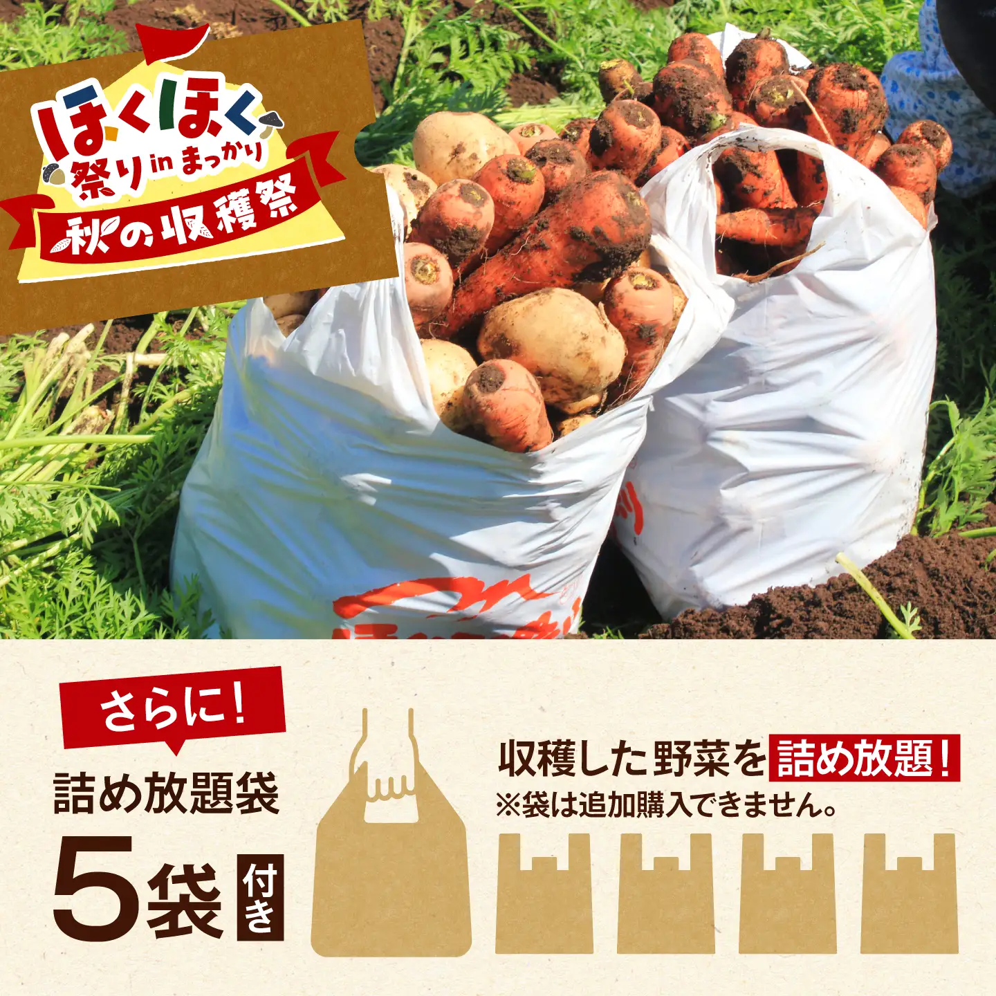 【北海道外の方限定】【9月6日開催】真狩村を大満喫！ いも掘り会場優先入場券付き マッカリーナペア宿泊券 1枚（2名様）[BPAK004] 宿泊券 体験 北海道