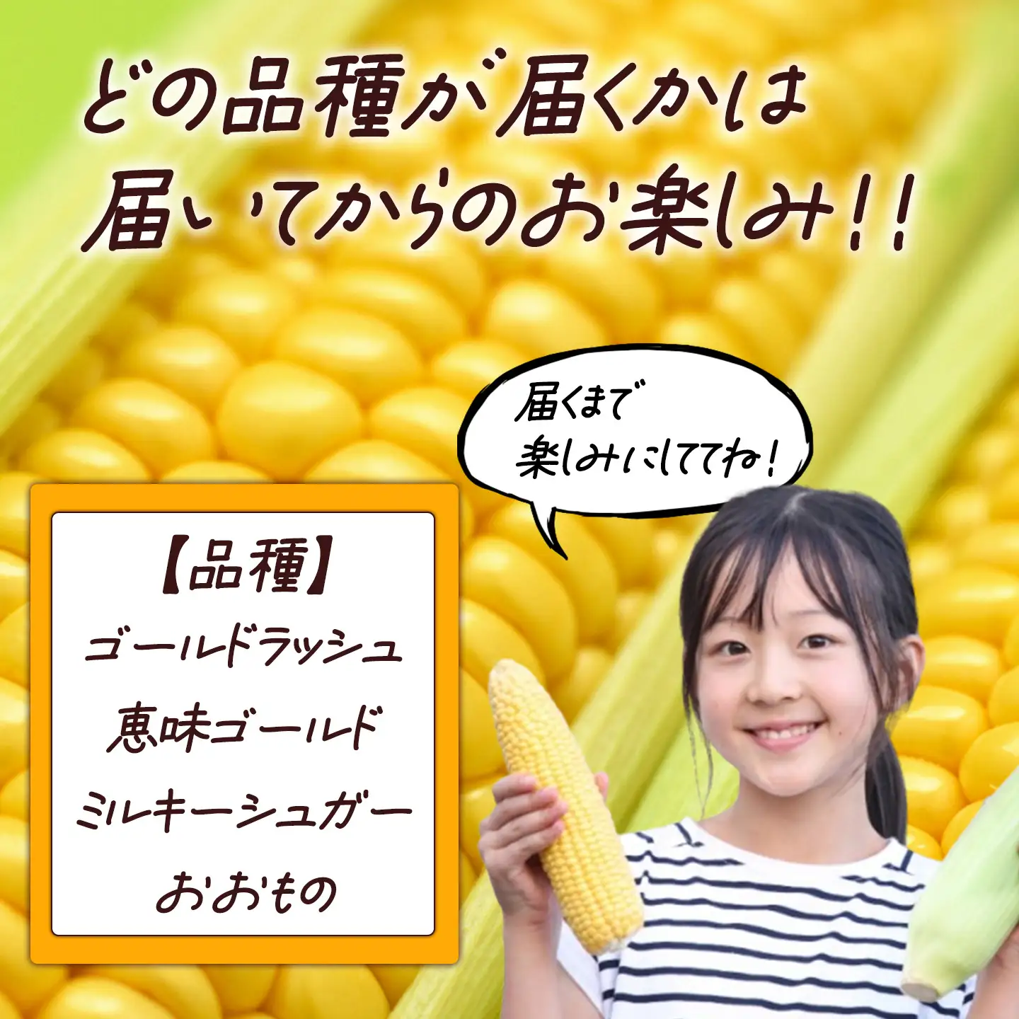 朝採りとうもろこし 10㎏ 先行予約 とうもろこし