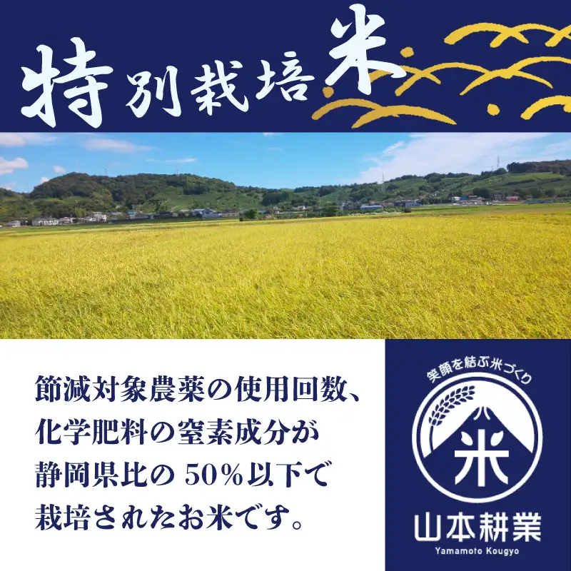 コシヒカリ 10kg 牧之原市 静岡県 山本耕業