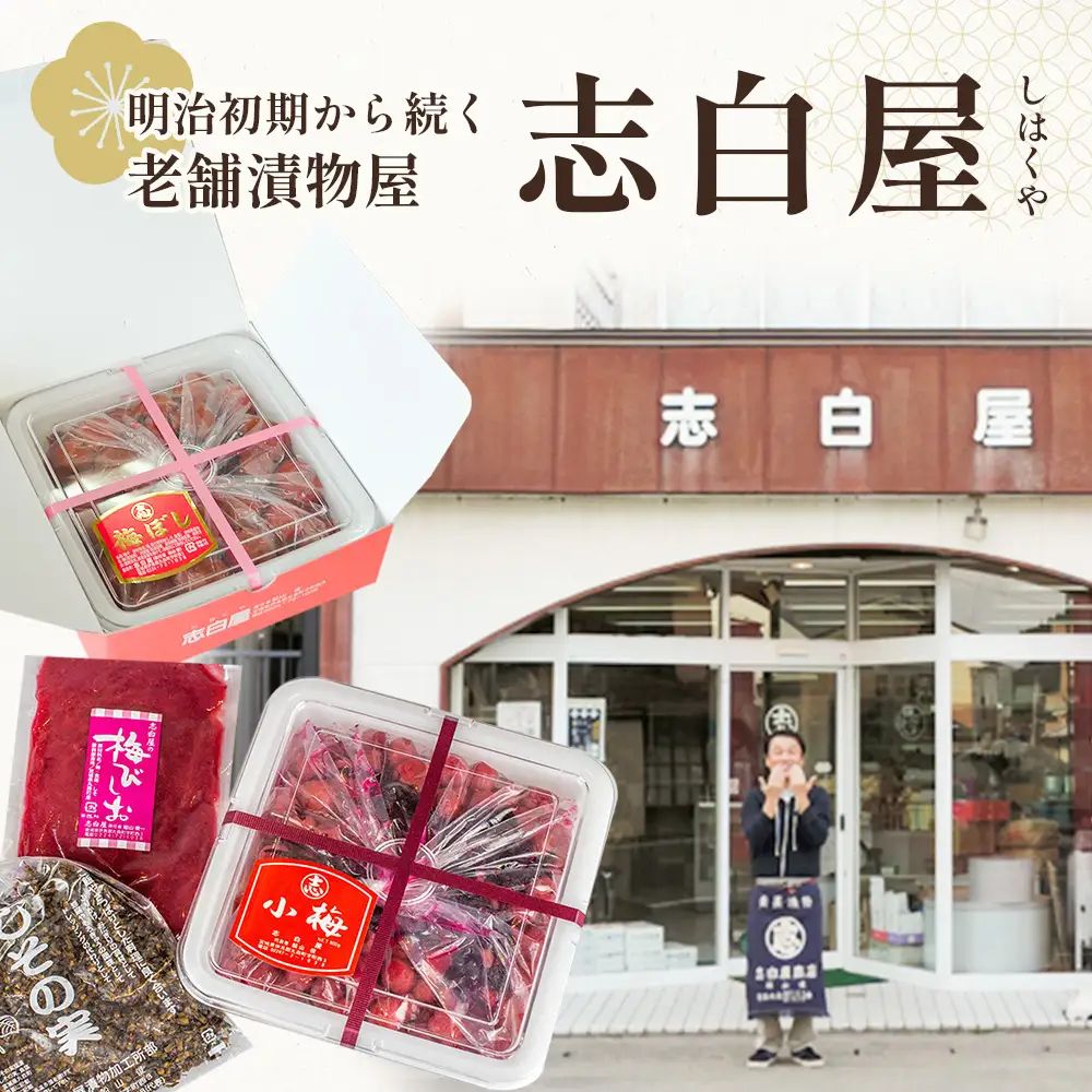 大満足 お漬物2種セット　しそ巻きらっきょう250g　椎茸からし漬250ｇ【02106】