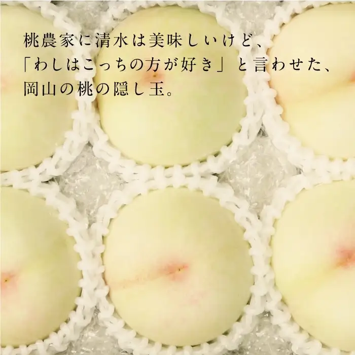 岡山白桃 おかやま夢白桃・川中島 秀品 大玉3玉 momo48 【配送不可地域：北海道／沖縄県／離島】 【jujy083-01】