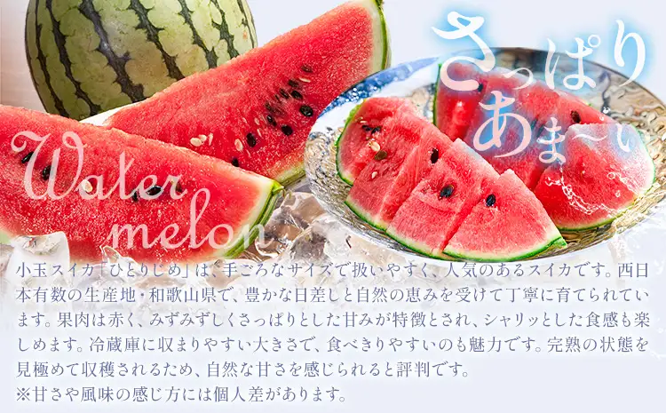 旬の フルーツ セット 3ヶ月定期便 6月・7月・8月配送 すいか 1玉 桃 約1.8kg 梨 約2kg 