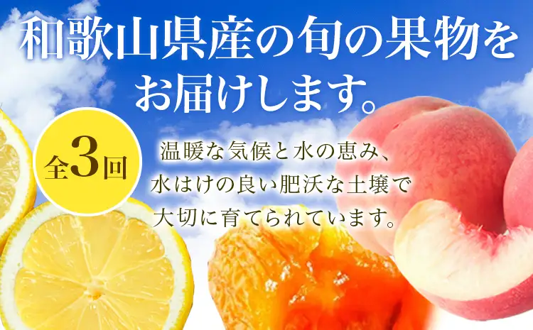 紀州和歌山産 旬のフルーツセット(干し柿 レモン 桃)