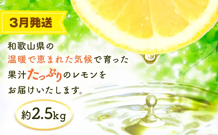 【定期】紀州和歌山産 旬のフルーツセット(あんぽ柿 レモン 桃) 