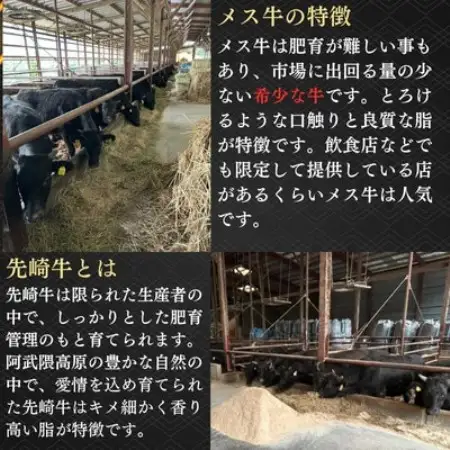 【先崎牛】A4等級以上の希少な厳選メス牛◆ロース焼肉1.5kg(500g×3パック)【配送不可地域：離島】【1737749】