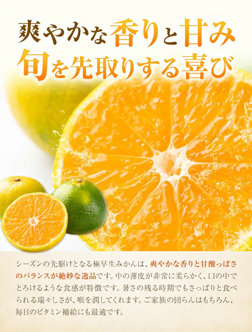 極早生みかん10kg 高橋商店《9月下旬-10月中旬頃出荷》