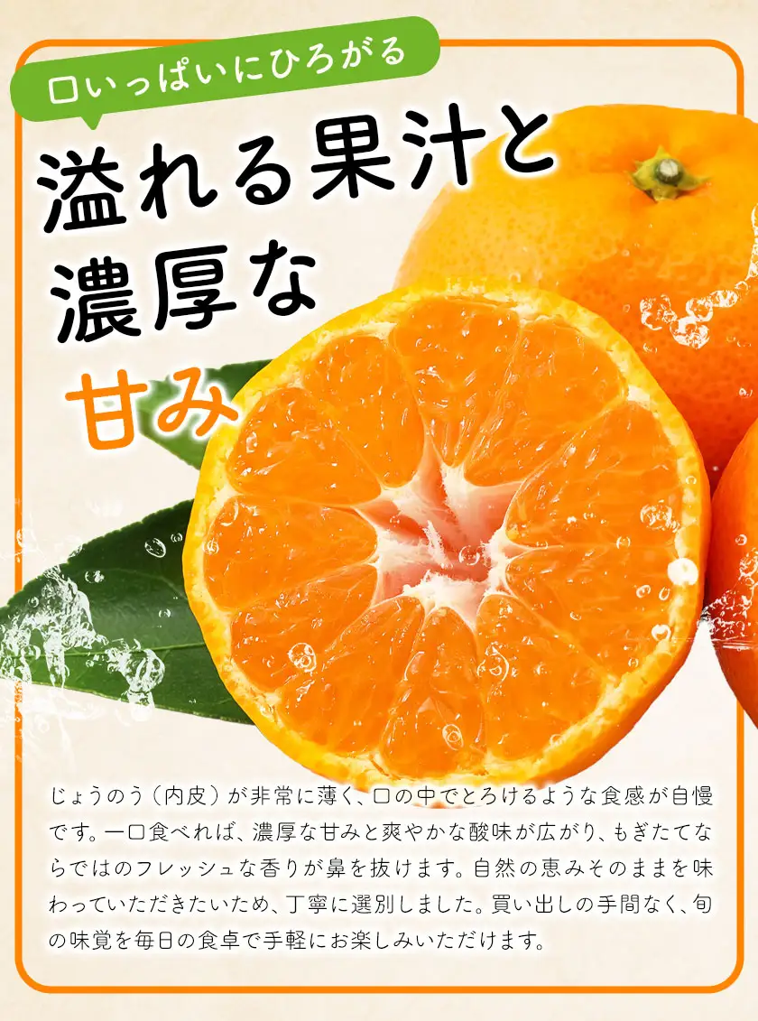 みかん10kg 高橋商店《10月下旬-1月中旬頃出荷》