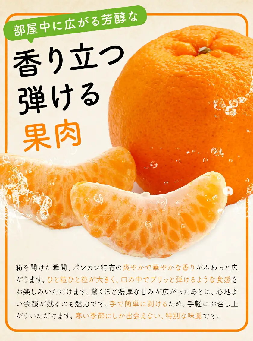 ポンカン5kg 高橋商店《12月上旬-2月中旬頃出荷》