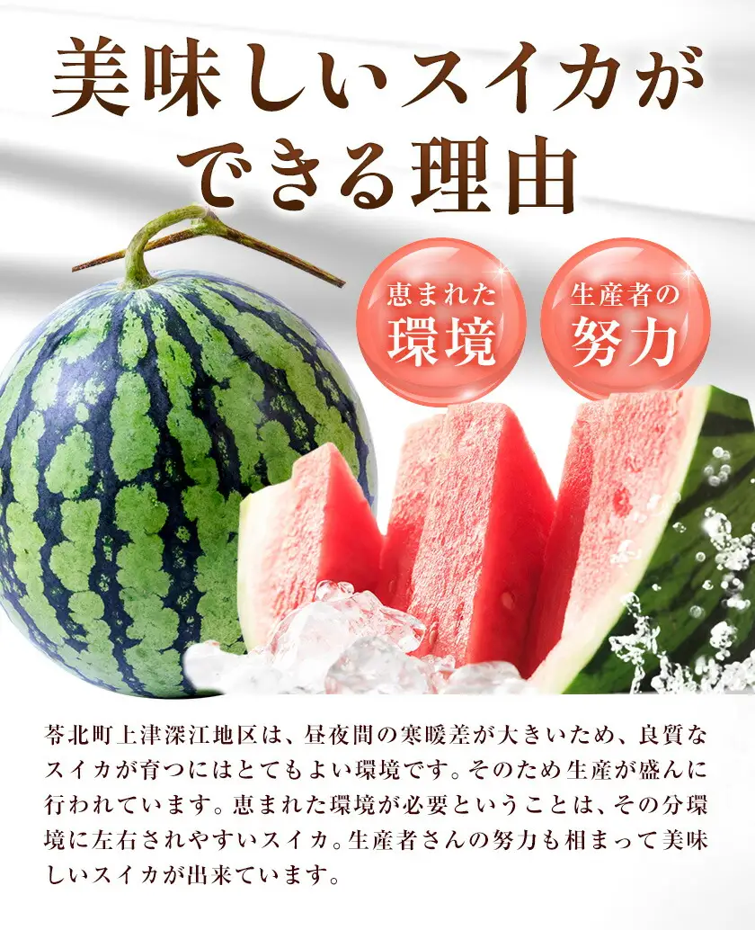 【頒布会】＼6月12日まで／スイカ 1玉 と みかん 5kg の定期便 高橋商店《7月上旬-12月末頃出荷》