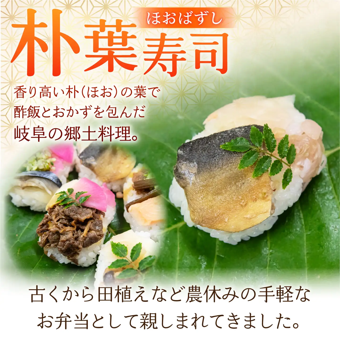 ほう葉寿司 5種8個セット（あゆ、さけ、さば 各2個／飛騨牛しぐれ煮、飛騨牛入り味噌 各1個）冷凍便 朴葉寿司 ほおば寿司 ほう葉寿司 寿司 郷土料理 飛騨牛 白川茶 岐阜県 白川町 / 一力屋[AWAE009]
