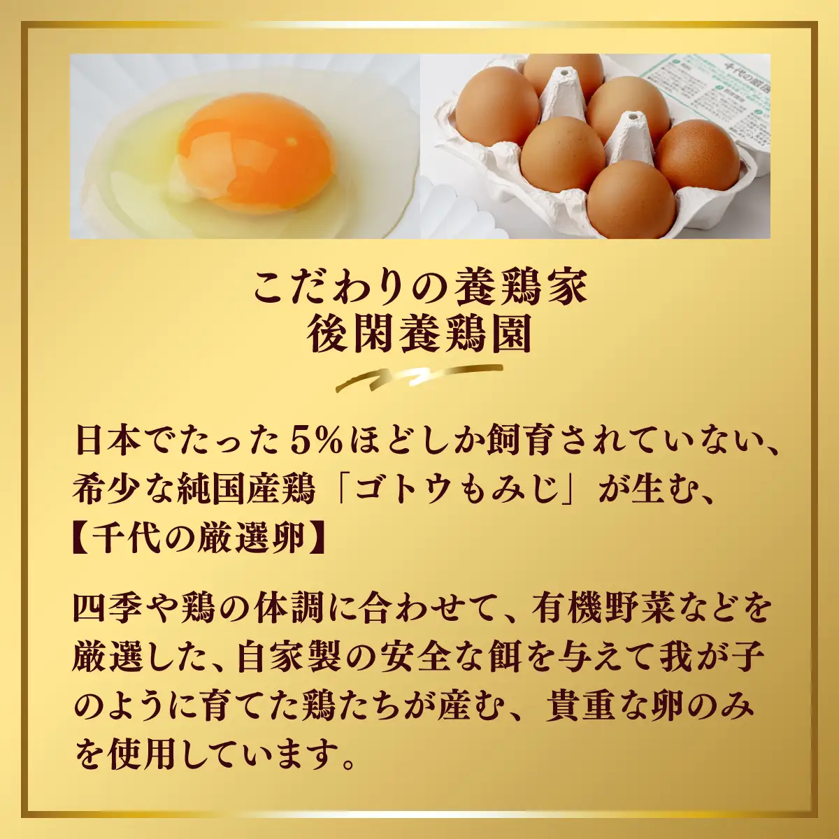 プリン 食べ歩きプリン（珈琲）10個セット | プリン
