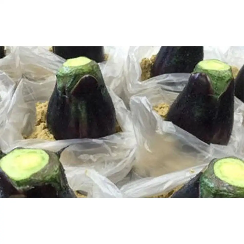 植物性乳酸菌が活きている無添加独自製法の泉州水なすの糠漬け【極み】4袋セット