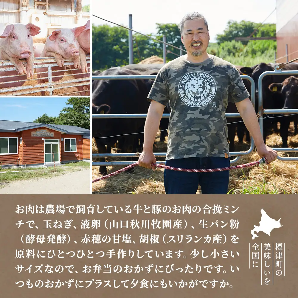 生ハンバーグミニ 50個セット(5個×10パック) ハンバーグ