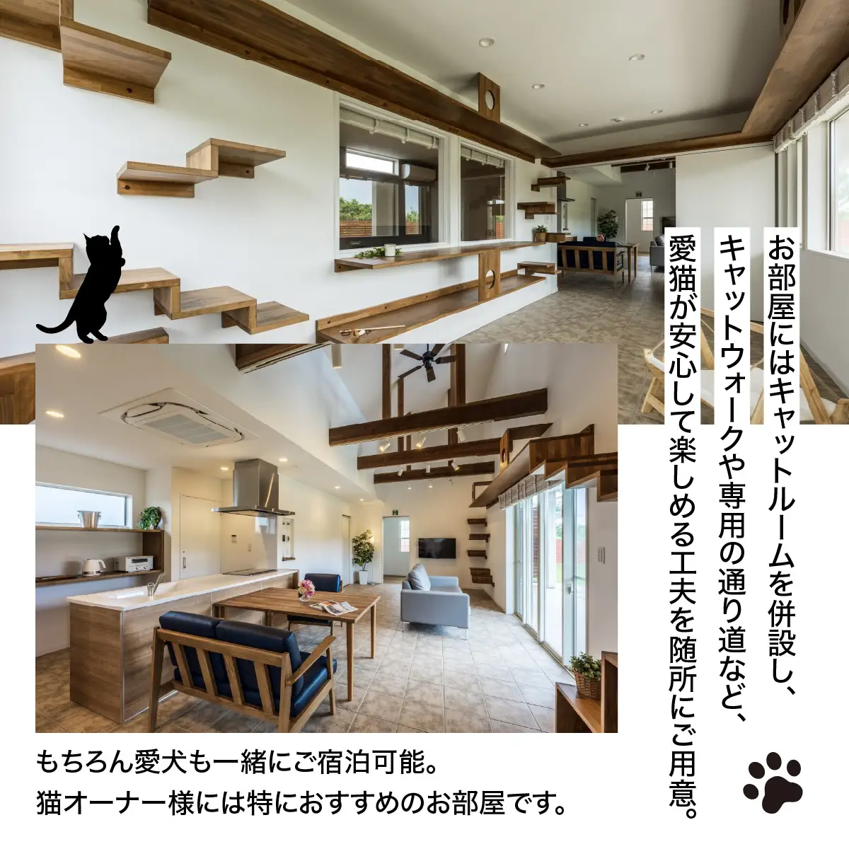 愛猫と泊まる一棟貸しヴィラ「Asovillage NYANYA」1泊宿泊券（1頭・2名様）　SMU037