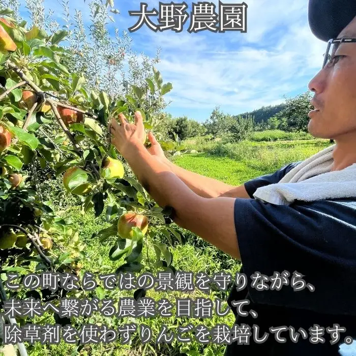 サンふじりんごジュース1L×2本