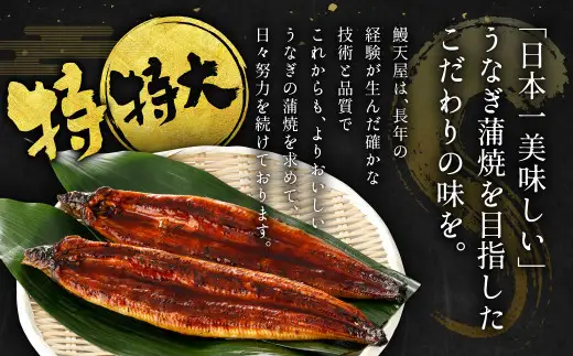 九州産 うなぎ蒲焼 特特大2尾 (1尾あたり250～266g) 合計500g以上【2026年7月発送】