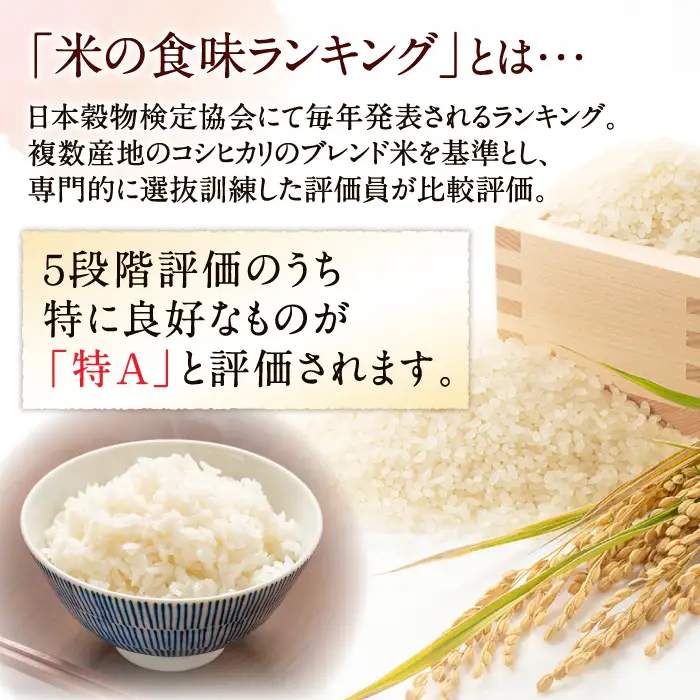 【6回定期便】長崎県産 精米 にこまる 10kg(5kg×2袋)総計60kg / 米 お米 こめ コメ 精米 / 南島原市 / 大松屋商店[SDR015]