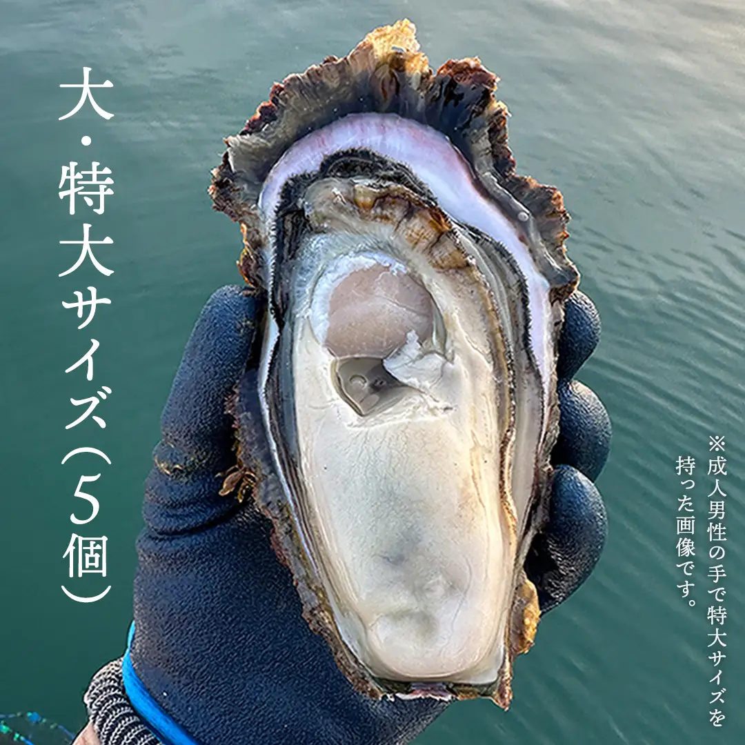 天然・生食可 大・特大サイズ 岩牡蠣 5個 瀬戸内産  《ナイフ・軍手付き》 産地直送