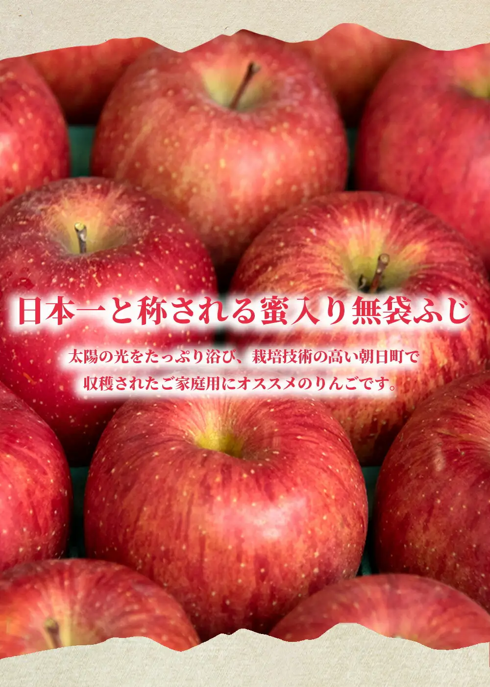 りんご 朝日町産【 ご家庭用 訳あり 】 ふじりんご 3kg 【11月中旬～12月中旬発送】サンふじ ふじ リンゴ 林檎