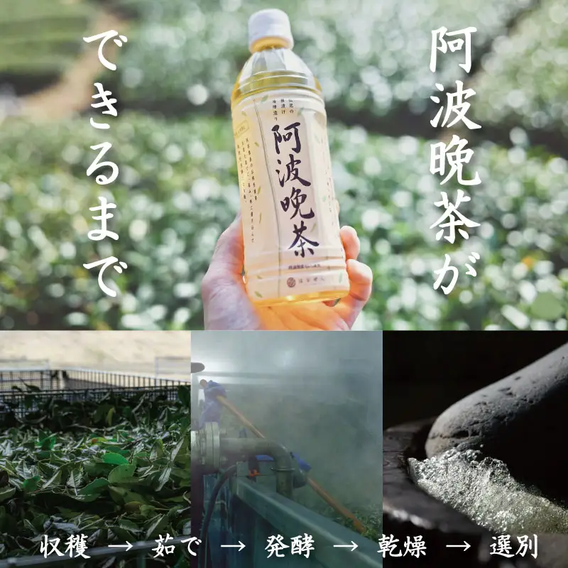 阿波晩茶 ペットボトル 24本 阿波晩茶