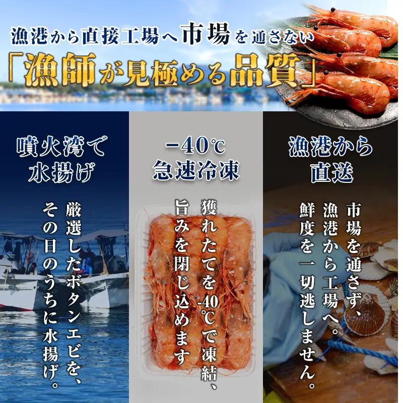 【新物】冷凍ボタンエビ（オス）500g 北海道噴火湾産 ＜海鮮問屋　株式会社　瑞宝＞ えび エビ 海老 ぼたんえび ぼたん海老 ボタン海老 ボタンエビ ぼたんエビ 牡丹海老 北海道 森町 ふるさと納税 北海道 mr1-1406