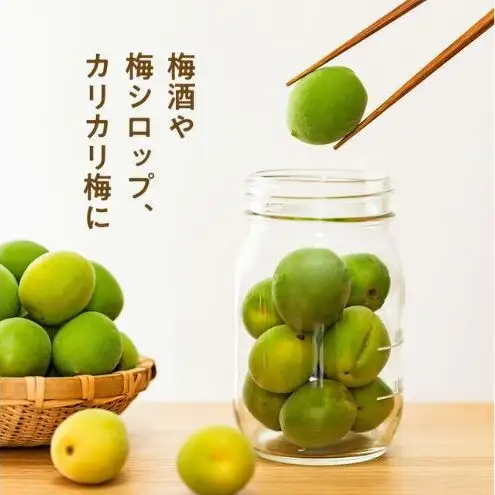 【6月上旬より順次発送】静岡県浜松市産 大梅 約4kg 梅 うめ シロップ 梅酒 粒が大きい 青梅 カリカリ梅 南高梅 静岡 浜松市 