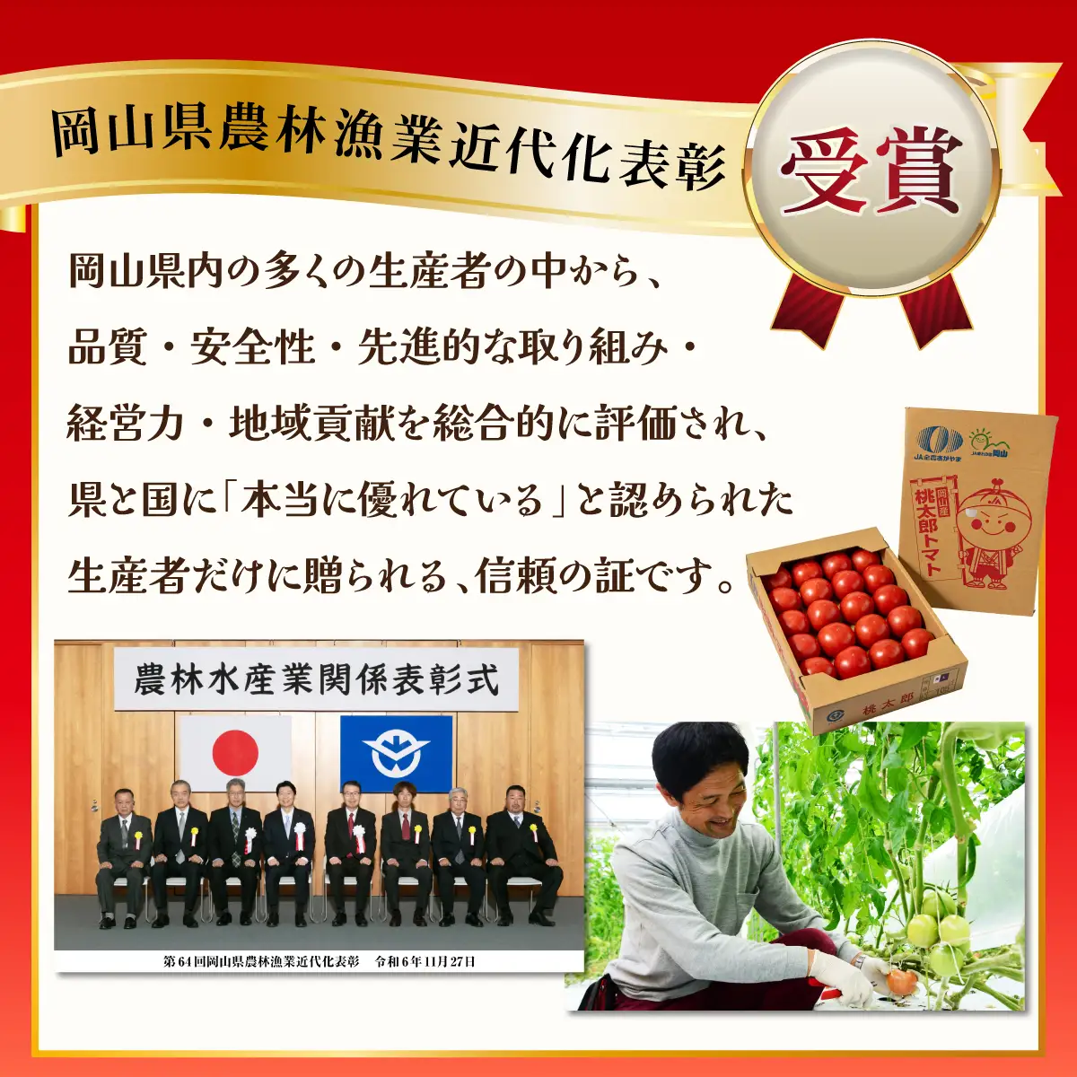 桃太郎トマト［規格外］　3.5kg～4kg　バラ詰め