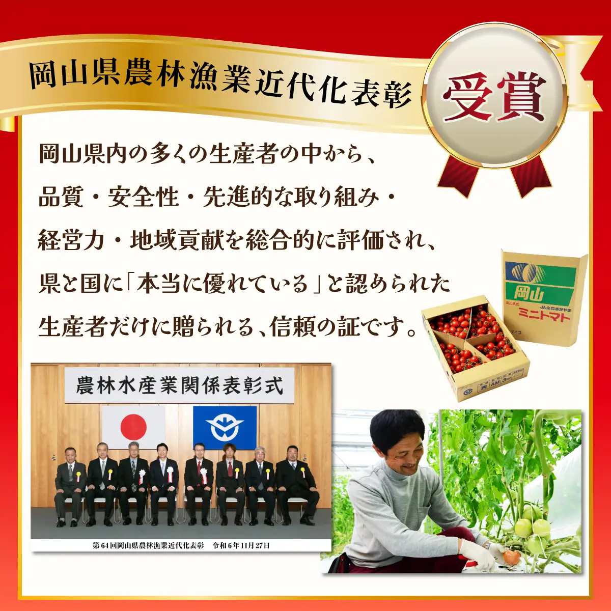 ミニトマト（アイコ）　3kg　Mサイズバラ詰め