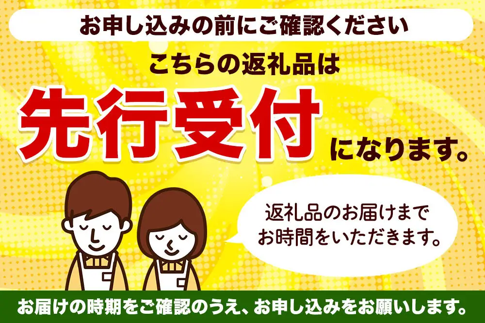 《先行受付》小坂産 ぶどう 種無し大粒・品種おまかせ 3～5房 セット（約2kg）