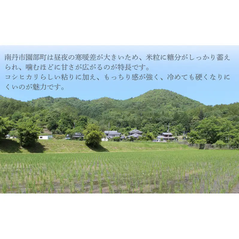 【先行予約】無洗米令和8年産 コシヒカリ 5kg 【 お米 米 コメ 精米 南丹市 】