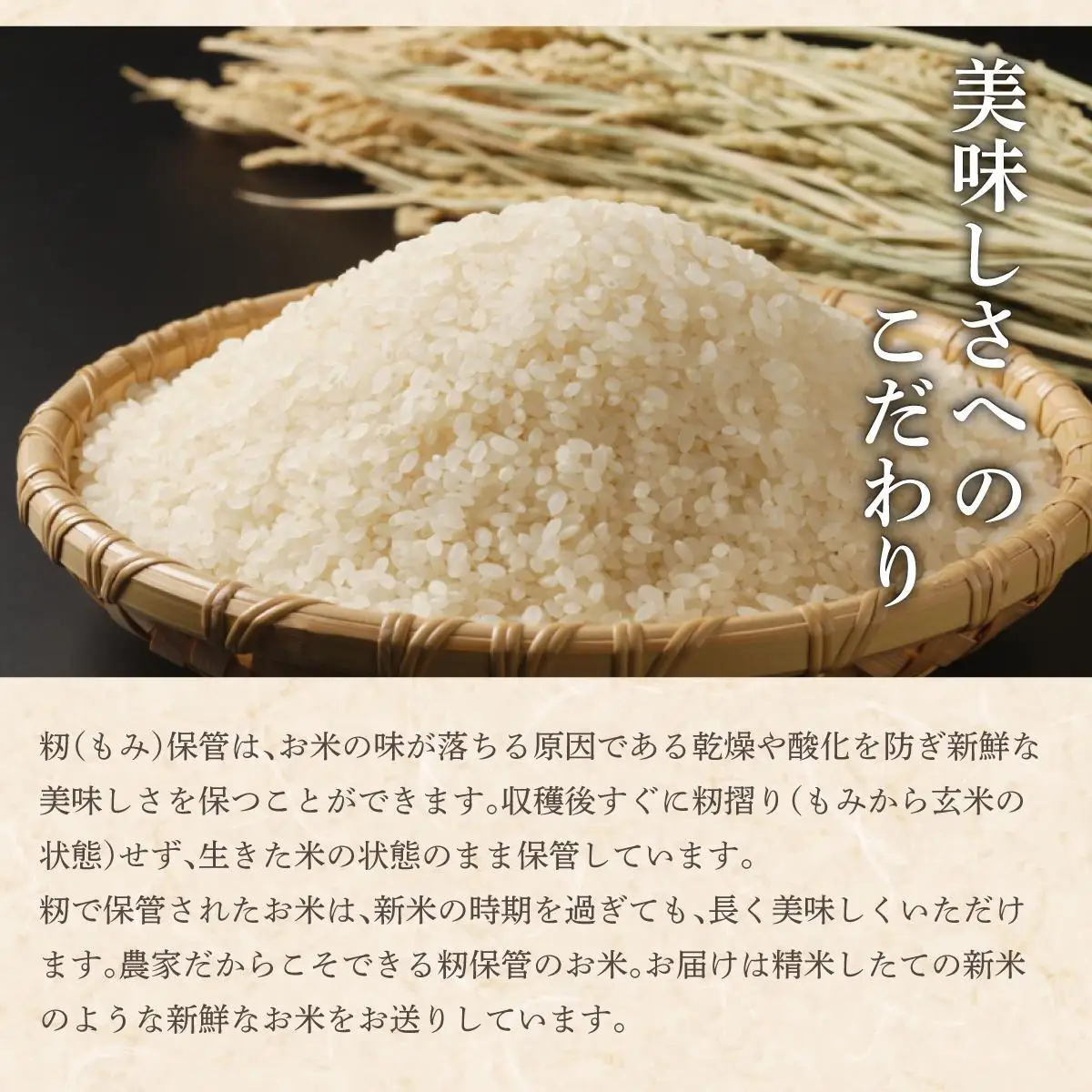 令和7年産 アグリプロ未来のゆめぴりか 5kg【a178-001】