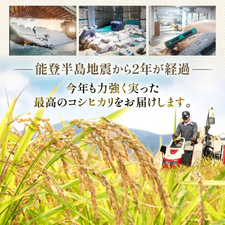 【ふるなび限定】 米 定期便 石川米 こしひかり 10kg 3回 FN-Limited-SP