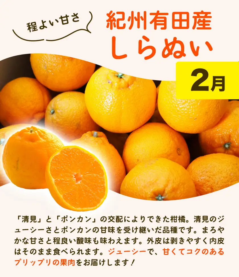 紀州 和歌山産 旬の ご家庭用 柑橘 セット (みかん 不知火 せとか 清見)【全4回】 株式会社魚鶴