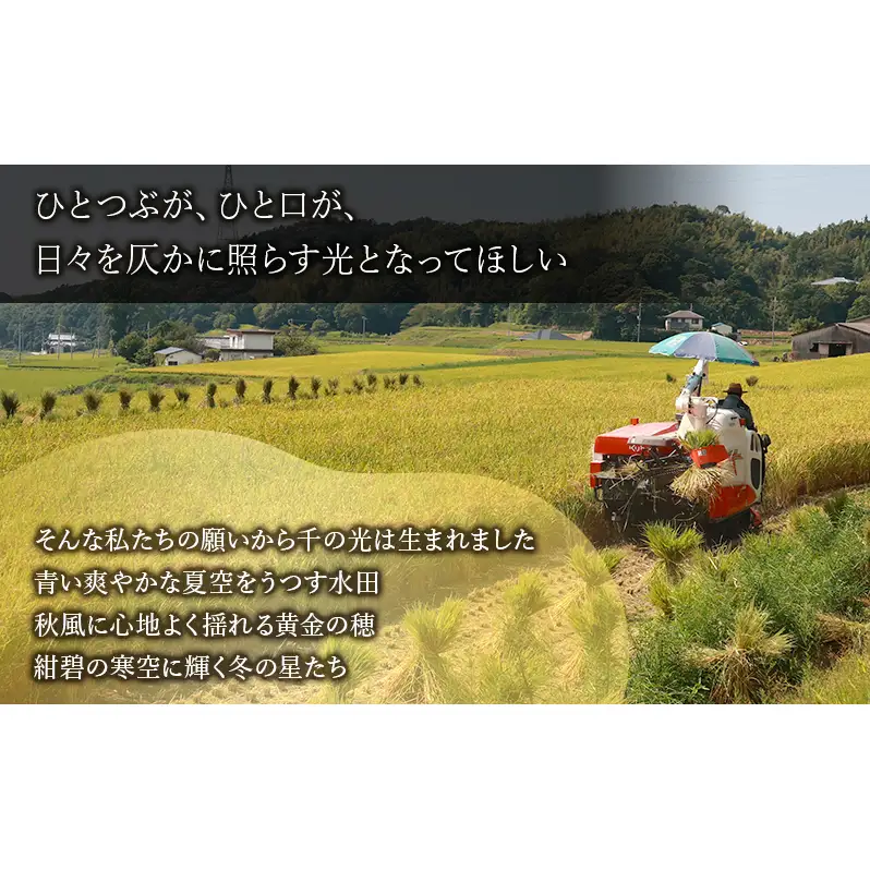 特別栽培米 「 千の光 」　( 精米 )　5kg　米 お米 ごはん 特別栽培 兵庫県 洲本市 淡路島 鮎原塔下