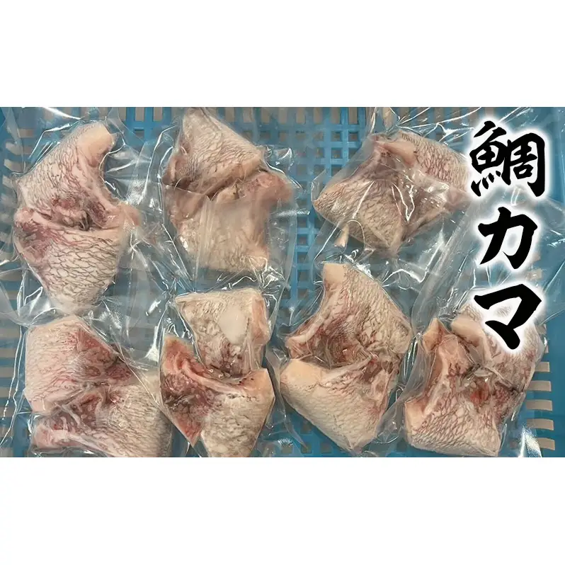 活凍結シリーズ　活凍結 鯛カマ・イカゲソ 800g 魚介 海鮮 急速凍結 鮮度保持 真空パック 便利 ギフト 贈答用 兵庫県 洲本市 淡路島