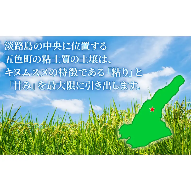 淡路島産 あいはら米 キヌムスメ 10kg お米 白米 ブランド米 兵庫県 洲本市 淡路島