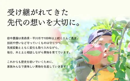 【レビューキャンペーン】≪12月発送 ≫100年の歴史 訳あり 家庭用サンふじ 約2kg 青森県平川市産[hi-0039-014]