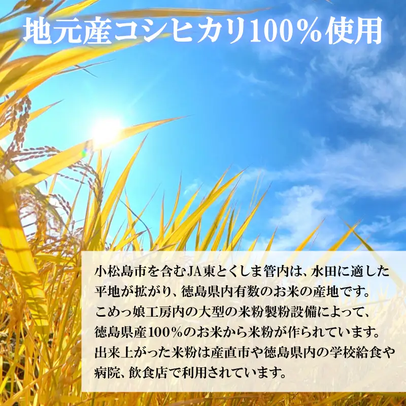米粉 1kg 小分け 1袋 国産 米 コメ コシヒカリ こめ 国産米 料理 ラーメン パン パスタ スイーツ 菓子 洋菓子 和菓子 ホットケーキ お菓子 ケーキ クッキー 揚げ物 グルテンフリー 業務用 徳島県 小松島市 