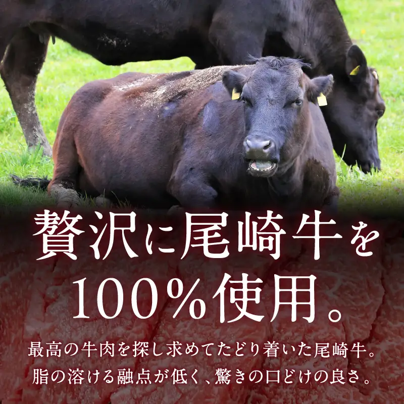 究極のビーフシチュー！フレンチシェフがじっくり煮込んで作った、ビーフシチュー(2食入り)【069-0010】