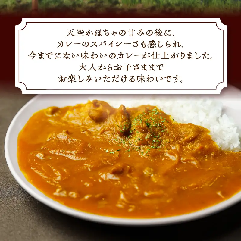 甲州天空かぼちゃカレー【常温保存が可能なタイプ】