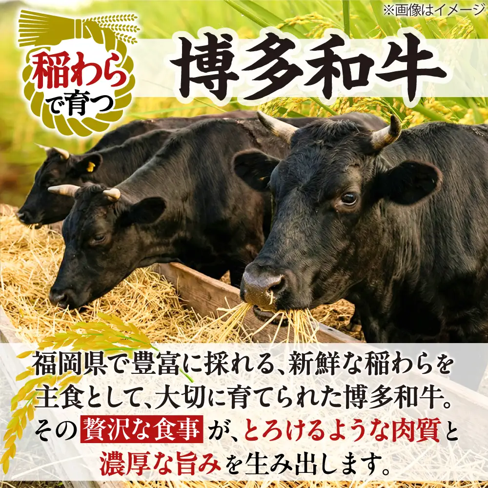 博多和牛 こま切れ 1kg （250g×4）吉富町/肉のくまもと屋[BGBY001]