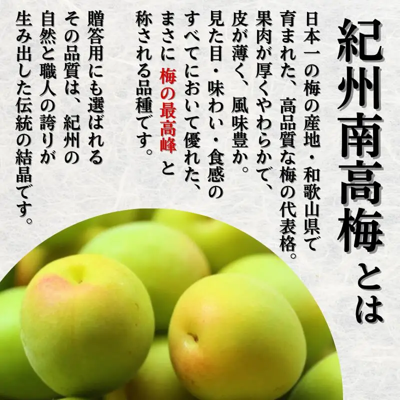 青梅 厳選 南高梅 20kg+250g（痛み補償分） / 梅 梅ジュース 梅酒 梅干し 高級 和歌山 ※5月~6月発送予定 ※北海道・沖縄・離島への配送不可 【ikd508-p-20】