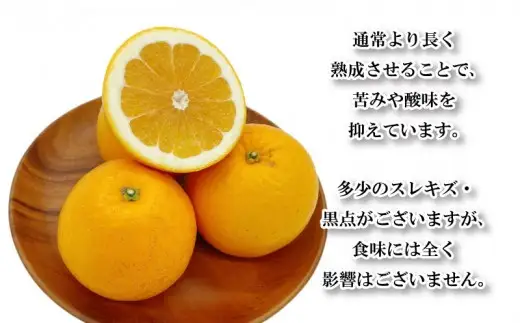家庭用 河内晩柑 3㎏ 河内晩柑 ばんかん 文旦 柑橘 愛媛 愛南 フジ・アグリフーズ 国産 フルーツ 果物 愛媛県 愛南町