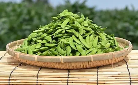 75E-20新潟県長岡産枝豆1.0kg【湯あがり娘250g×4袋入り】