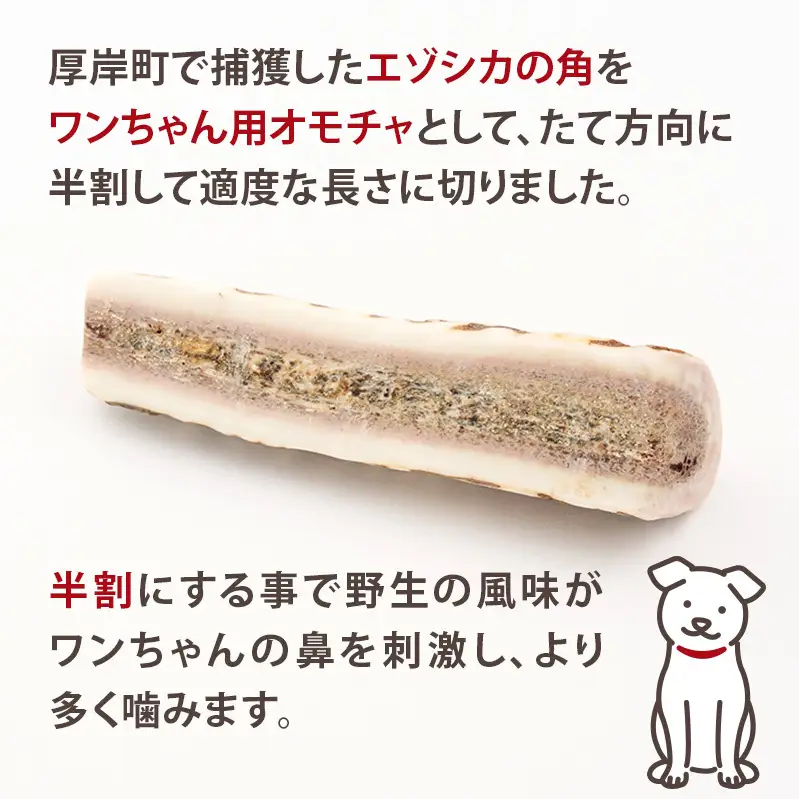 厚岸町産 わんちゃん用 エゾ鹿の角 半割1本 10cm 小型犬用 【deer food】[犬 おもちゃ 犬用ガム ペット用品 鹿角 長持ち デンタルケア ペット ]
