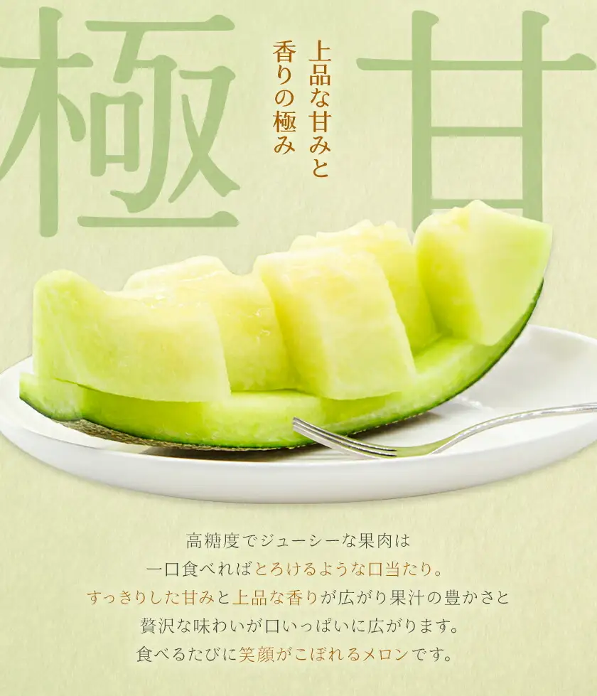 肥後グリーンメロン 1玉 熊本 株式会社エフビーネット《4月上旬-7月上旬頃出荷》