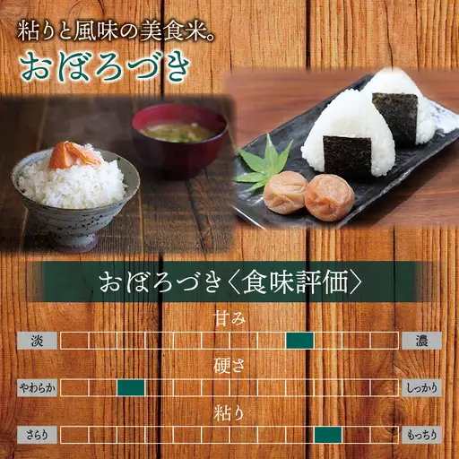 【令和7年産】 おぼろづき 4kg (4キロ)【sun400-obo-r4-R7】