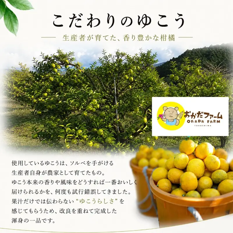 柑橘  デザート 完熟ゆこうのご褒美ソルベ 2個セット アイス ジェラート ゆこう ご褒美 アイスクリーム  乳製品不使用 柑橘 みかん ゆこう 柚香 レモン ゆず ジャム 冷たい フルーツ 果物 常温配送 夏 冷たい 希少柑橘 ジャム