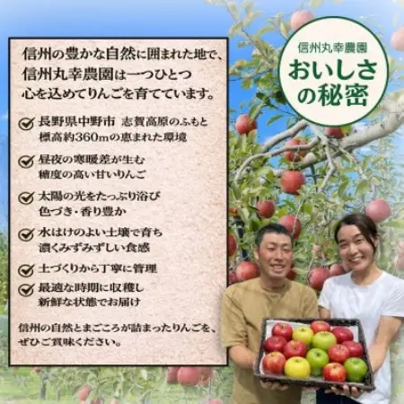 生産農家直送　長野県中野市産　サンふじ　訳ありご家庭用　約10kg(24～41玉)【1716053】