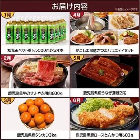 【発送月固定定期便】南九州トクトク定期便全12回【配送不可地域：離島】【4014769】
